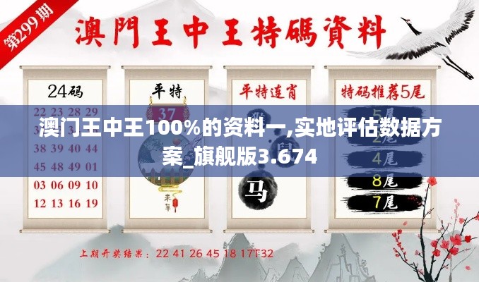 澳门王中王100%的资料一,实地评估数据方案_旗舰版3.674