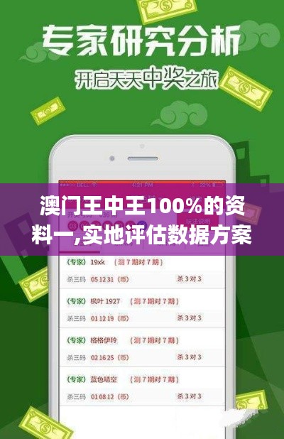 澳门王中王100%的资料一,实地评估数据方案_旗舰版3.674
