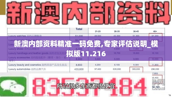 新澳内部资料精准一码免费,专家评估说明_模拟版11.216