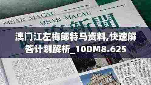 澳门江左梅郎特马资料,快速解答计划解析_10DM8.625