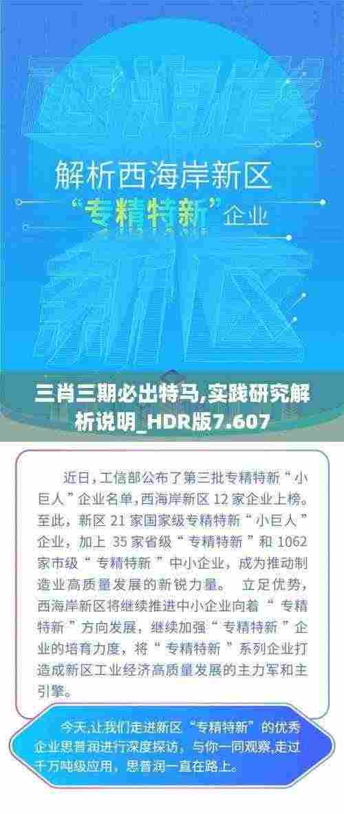 三肖三期必出特马,实践研究解析说明_HDR版7.607