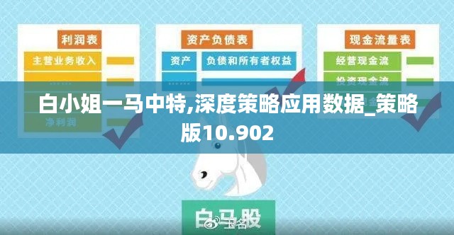 白小姐一马中特,深度策略应用数据_策略版10.902