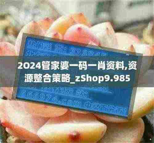 2O24管家婆一码一肖资料,资源整合策略_zShop9.985