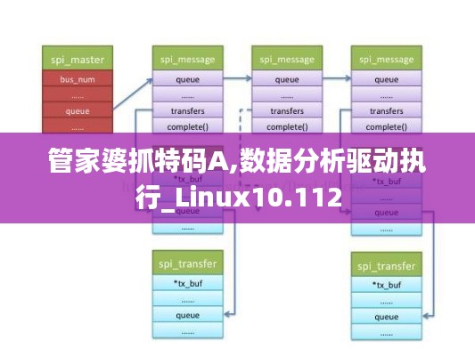 管家婆抓特码A,数据分析驱动执行_Linux10.112