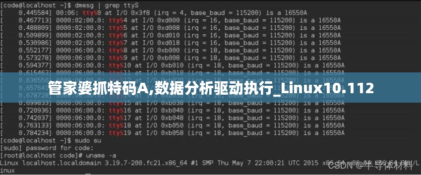 管家婆抓特码A,数据分析驱动执行_Linux10.112