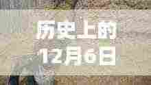 揭秘未知历史时刻，历史上的12月6日最新野战视频偷录揭秘