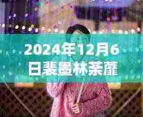 裴墨林荼蘼最新章节深度解析与回顾,影响与启示(2024年12月6日)