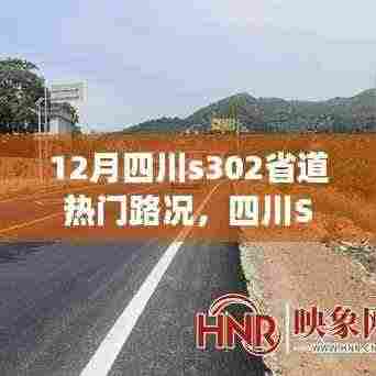 四川S302省道12月热门路况详解与旅行指南