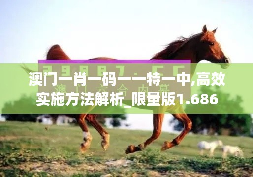 澳门一肖一码一一特一中,高效实施方法解析_限量版1.686