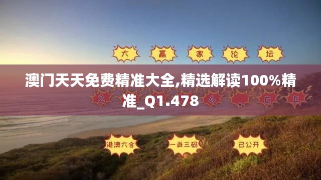 澳门天天免费精准大全,精选解读100%精准_Q1.478