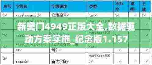 新奥门4949正版大全,数据驱动方案实施_纪念版1.157