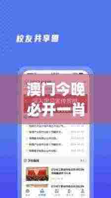 澳门今晚必开一肖一特,计划反馈执行_网页款3.263