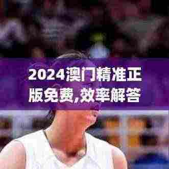 2024澳门精准正版免费,效率解答解释落实_移动版4.439