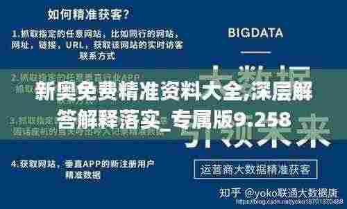 新奥免费精准资料大全,深层解答解释落实_专属版9.258