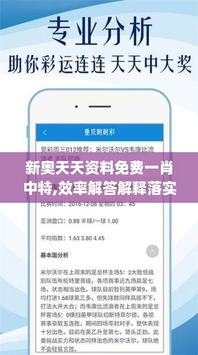 新奥天天资料免费一肖中特,效率解答解释落实_5DM3.118