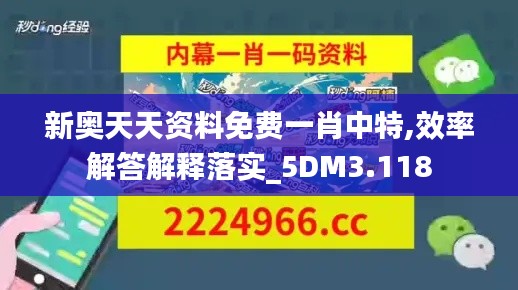 新奥天天资料免费一肖中特,效率解答解释落实_5DM3.118