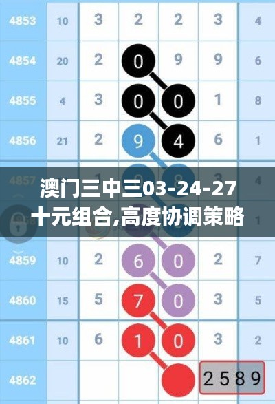 澳门三中三03-24-27十元组合,高度协调策略执行_6DM15.803