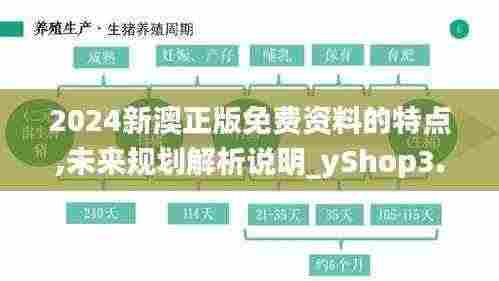 2024新澳正版免费资料的特点,未来规划解析说明_yShop3.660