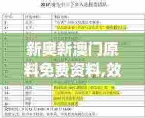 新奥新澳门原料免费资料,效率资料解释落实_专业款4.899