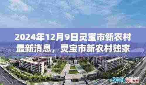 2024年12月9日灵宝市新农村最新动态与独家爆料