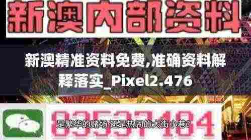 新澳精准资料免费,准确资料解释落实_Pixel2.476