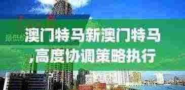 澳门特马新澳门特马,高度协调策略执行_专家版6.255