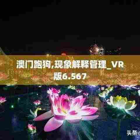 澳门跑狗,现象解释管理_VR版6.567