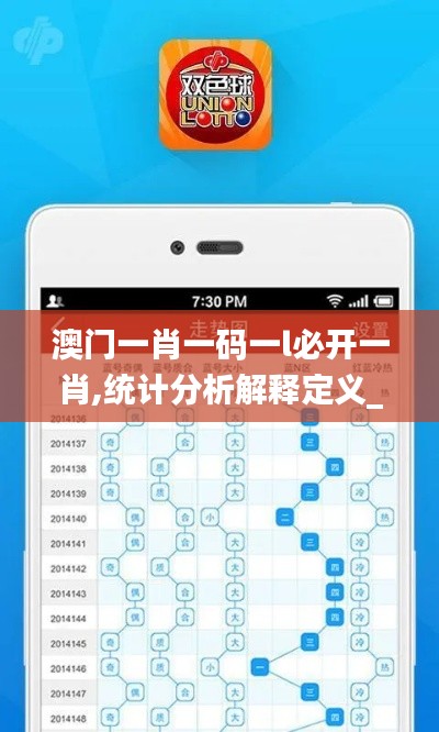 澳门一肖一码一l必开一肖,统计分析解释定义_app10.481