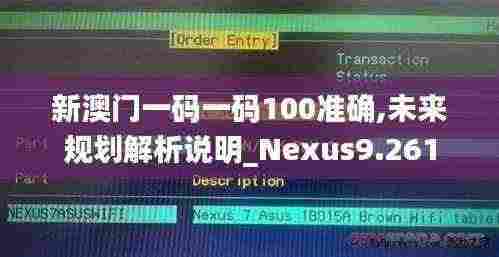 新澳门一码一码100准确,未来规划解析说明_Nexus9.261