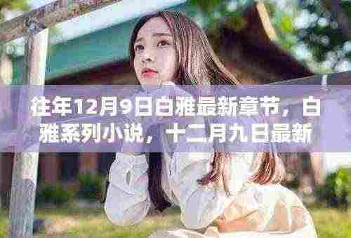往年12月9日白雅最新章节回顾与影响,系列小说的深度剖析
