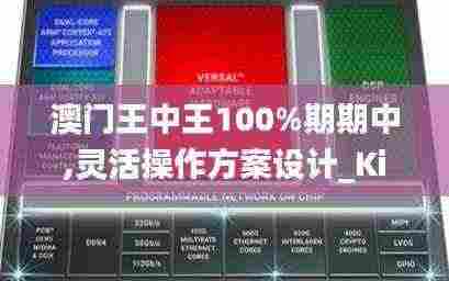 澳门王中王100%期期中,灵活操作方案设计_Kindle10.267