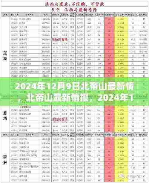 北帝山最新情报,2024年12月9日的探索与发现揭秘