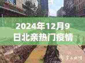 探秘疫情中的北亲小巷,独特风味与热门故事揭秘(2024年12月9日)