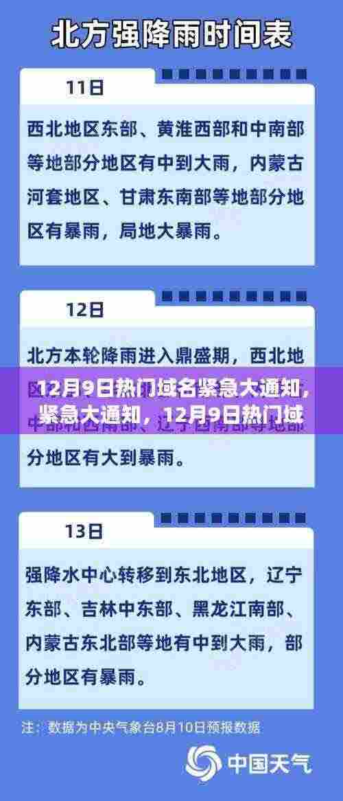 12月9日热门域名风云突变,你必须知道的重要信息