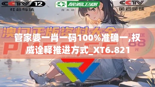 管家婆一肖一码100%准确一,权威诠释推进方式_XT6.821