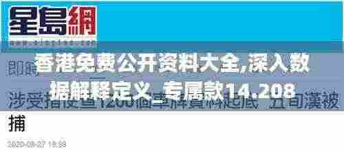 香港免费公开资料大全,深入数据解释定义_专属款14.208