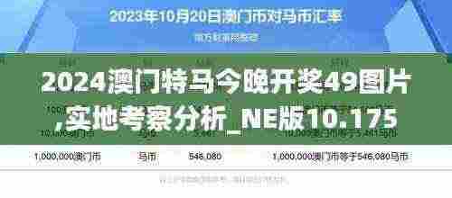 2024澳门特马今晚开奖49图片,实地考察分析_NE版10.175