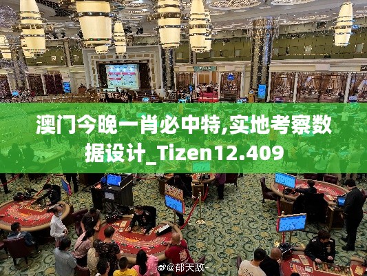 澳门今晚一肖必中特,实地考察数据设计_Tizen12.409
