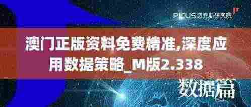 澳门正版资料免费精准,深度应用数据策略_M版2.338