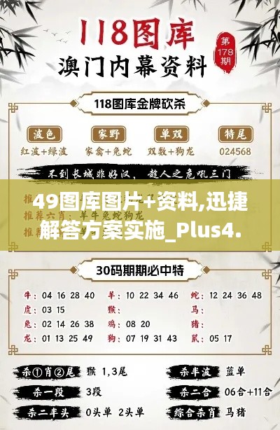 49图库图片+资料,迅捷解答方案实施_Plus4.601