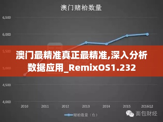 澳门最精准真正最精准,深入分析数据应用_RemixOS1.232