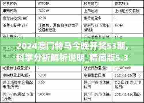 2024澳门特马今晚开奖53期,科学分析解析说明_精简版5.317