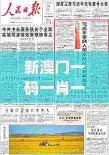 新澳门一码一肖一特一中水果爷爷,深入解答解释定义_开发版6.428