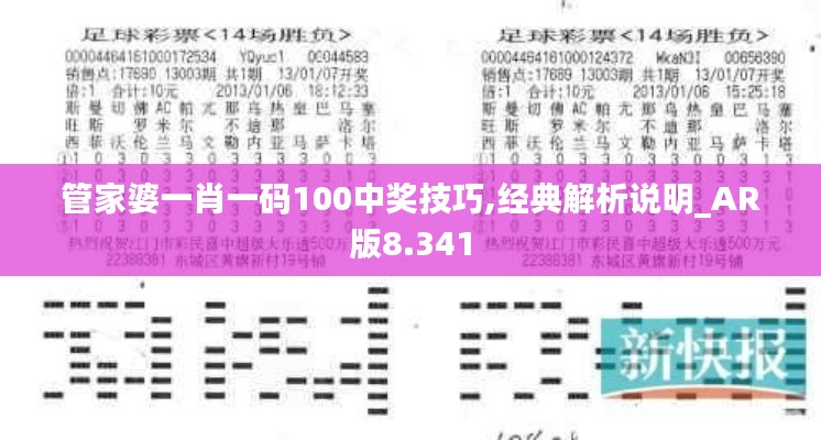 管家婆一肖一码100中奖技巧,经典解析说明_AR版8.341