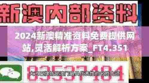 2024新澳精准资料免费提供网站,灵活解析方案_FT4.351