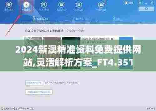 2024新澳精准资料免费提供网站,灵活解析方案_FT4.351