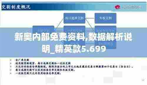 新奥内部免费资料,数据解析说明_精英款5.699