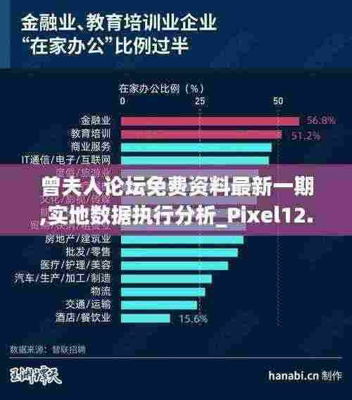 曾夫人论坛免费资料最新一期,实地数据执行分析_Pixel12.603