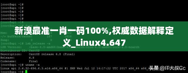 新溴最准一肖一码100%,权威数据解释定义_Linux4.647