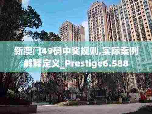 新澳门49码中奖规则,实际案例解释定义_Prestige6.588